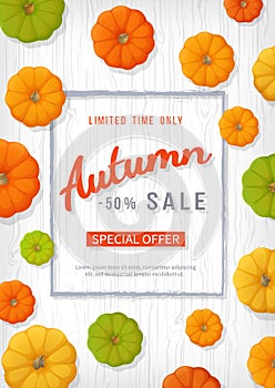 Autumn sale background. Vertical banner flyer in a rectangular frame with colored pumpkins on a white wooden table.