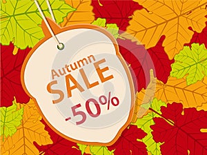 Autumn sale background14