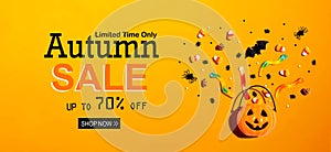 Autumn sale banner