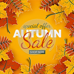Autumn sale banner, 3d paper colorful tree leaves on yellow background. Autumnal design for fall season sale banner, special offer