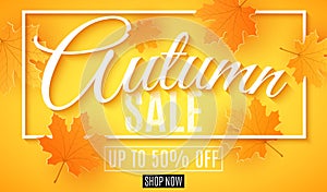 Autumn sale banner. Advertising seasonal flyer. Greeting card. Calligraphy and lettering. Orange maple leaves. Orange background.