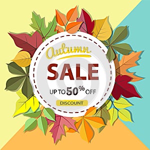 Autumn sale banner with colorful fall leaves