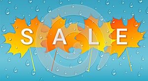 Autumn sale banner with colorful leaves and raindrops.