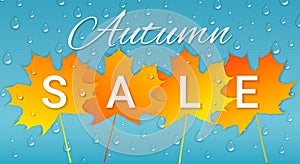 Autumn sale banner with colorful leaves and raindrops on blue ba