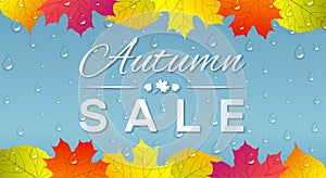 Autumn sale banner with colorful leaves and raindrops on blue ba