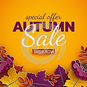 Autumn sale banner, 3d paper colorful tree leaves on yellow background. Autumnal design for fall season sale banner, special offer