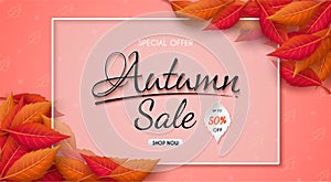 Autumn sale banner design with colorful seasonal fall leaves