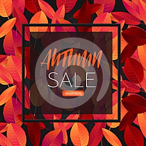 Autumn sale banner. Fall design concept.