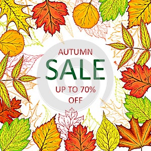 Autumn sale banner with fall leaves. Hand drawn fall frame illustration. Autumn leaves banner or background template