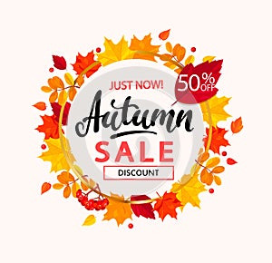 Autumn sale banner in frame from autumn leaves.