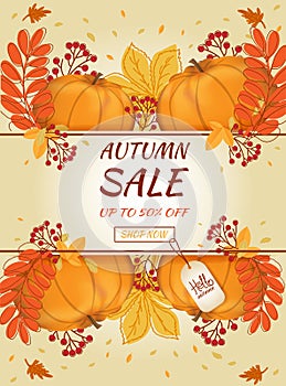 Autumn sale banner. Hello autumn. Autumn leaves, pumpkins and rowan berry.