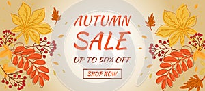 Autumn sale banner. Hello autumn. Autumn leaves and rowan berry.