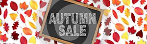 Autumn sale banner or long header for advertisement, promo, offer, announcement. Chalk scribble typography text on a chalkboard wi