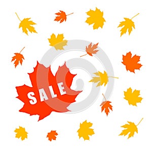 Autumn sale banner with maple leaf