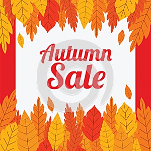 Autumn sale banner with maple oak leaves background, vector