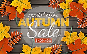 Autumn sale banner, paper colorful tree leaf maple, rowan on wood texture background. Autumnal design for fall season banner