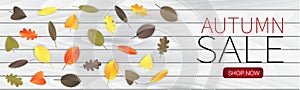 Autumn sale banner with red, orange, brown, and green leaves on white wwoden board.
