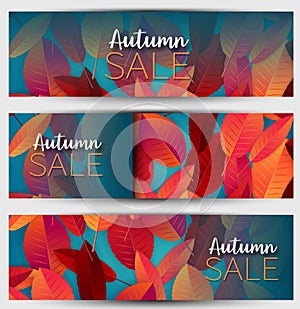 Autumn sale banner with red and orange leaves on blue background. A set of header templates.