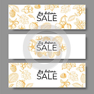 Autumn sale banner set. Voucher, offer or coupon with hand drawn leaves and berry