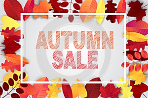 Autumn sale banner template with drop shadow frame and leaves.