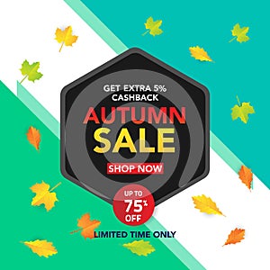 Autumn sale banner template with leaves, fall leaves for shopping sale. banner design. Poster, card, label, web banner. Vector ill
