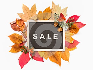 Autumn sale concept: blackboard with word Sale on pile of red and yellow fall leaves on white background