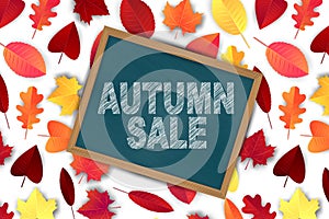 Autumn sale design concept. Banner for advertisement, promo, offer, presentation, greeting card. Typography text on chalkboard wit
