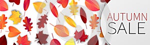 Autumn sale design concept for banner or website header with space for text. Red and orange leaves over white background.