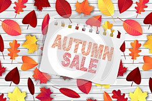 Autumn sale design concept. Red and orange leaves on wooden plank background covered by torn out sheet of notepad paper with scrib