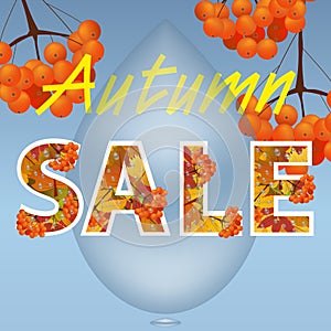 Autumn sale design. Fall discount. The inscription with maple leaves and branch of rowan with raindrops. Can be used in business f