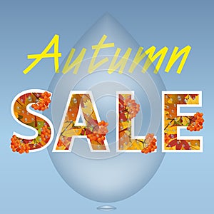 Autumn sale design. Fall discount poster. The inscription with maple leaves and branch of rowan with raindrops. Can be used in bus