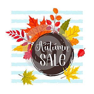 Autumn sale design vector illustration