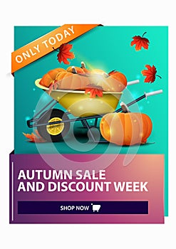 Autumn sale, discount vertical web banner with garden wheelbarrow with a harvest of pumpkins and autumn leaves