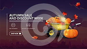 Autumn sale and discount week, discount banner with city on background, garden wheelbarrow with a harvest of pumpkins.