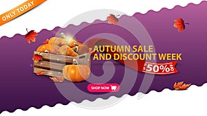 Autumn sale and discount week, purple banner with wooden crates of ripe pumpkins and autumn leaves