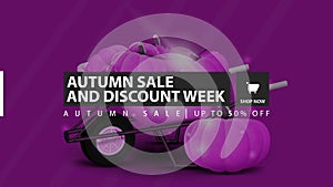 Autumn sale and discount week, purple horizontal discount banner with garden wheelbarrow with a harvest of pumpkins.