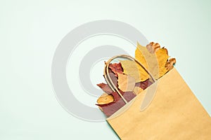 Autumn sale. Dry multicolored leaves on a light background. Paper shopping bag