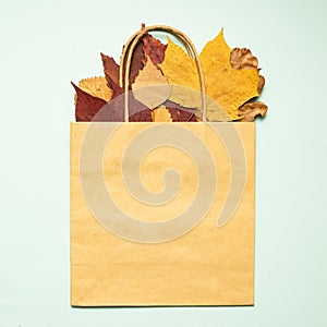 Autumn sale. Dry multicolored leaves on a light background. Paper shopping bag