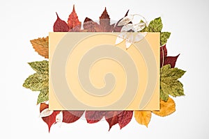 Autumn sale. Dry multicolored leaves on a light background. Paper shopping bag