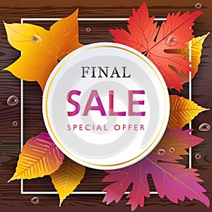Autumn Sale Fall leaves, wood table top view 2023 realistic maple leaves advertising banner sign