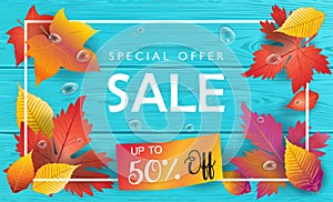 Autumn Sale Fall leaves wood top view 2023 vector illustration Online shopping card banner sign wallpaper