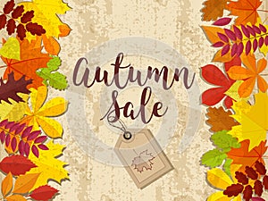 Autumn sale. Fall sale design. Can be used for flyers, banners or posters. Vector illustration with colorful autumn