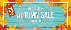 Autumn sale fallen maple leaves frame wooden