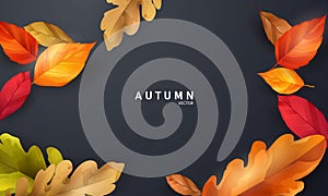 Autumn sale falling leaves background