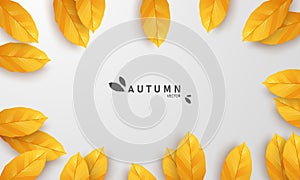 Autumn sale falling leaves background