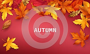 Autumn sale falling leaves background