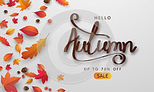 Autumn sale falling leaves background nature