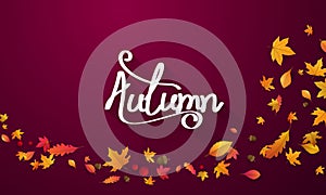 Autumn sale falling leaves background nature