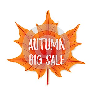 Autumn sale flyer colorful template with bright october leaf on white background. Banner design for seasonal sale