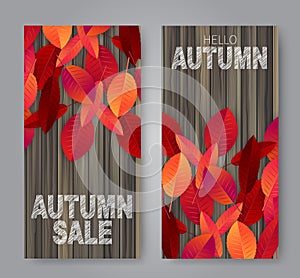 Autumn sale flyer or vectical banner design set. Red and orange tree leaves on wooden brown boatd plank wall.